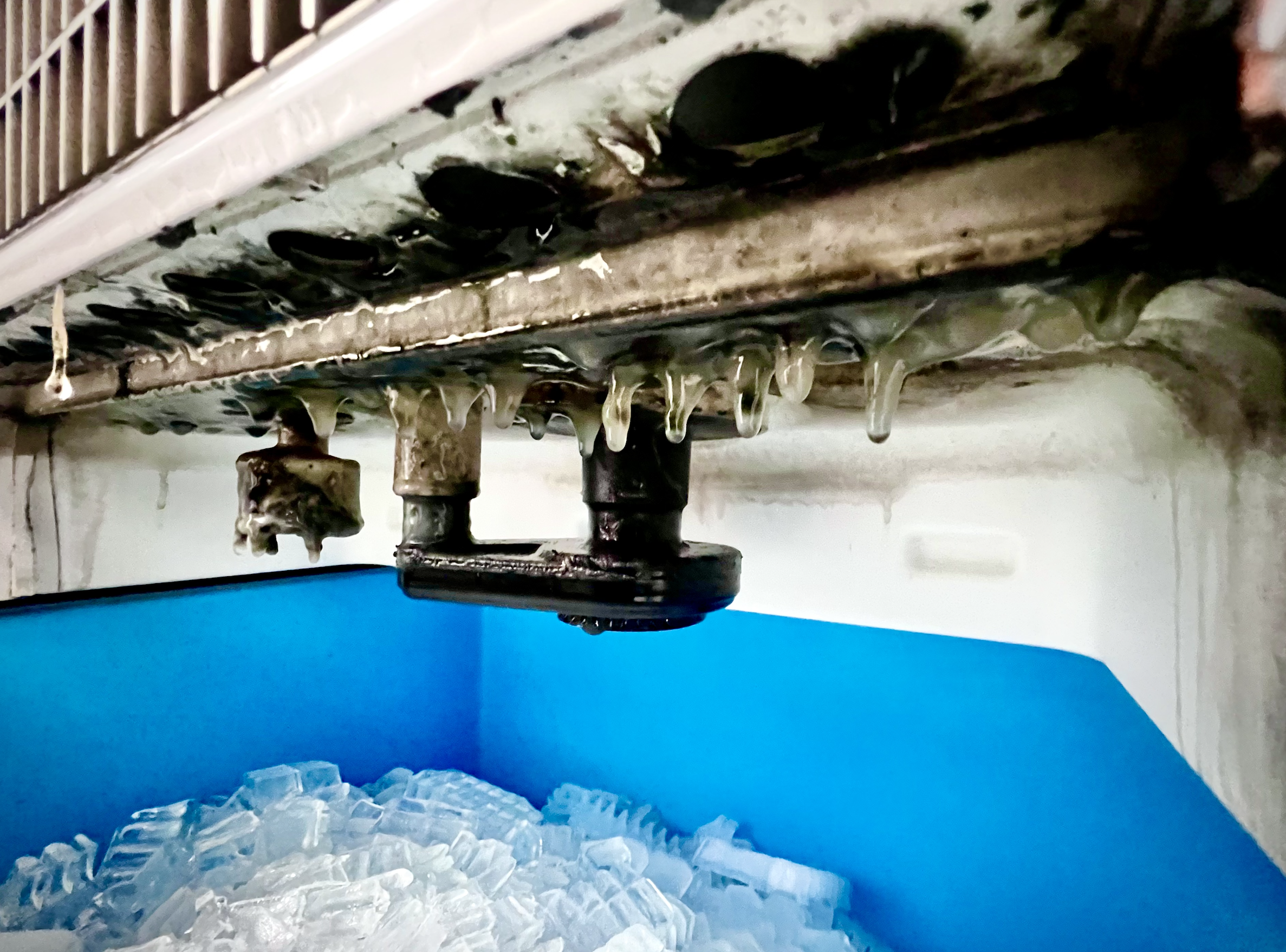 Unclean Ice Machine SERVICS | We Clean Ice | Ice Machine Cleaning